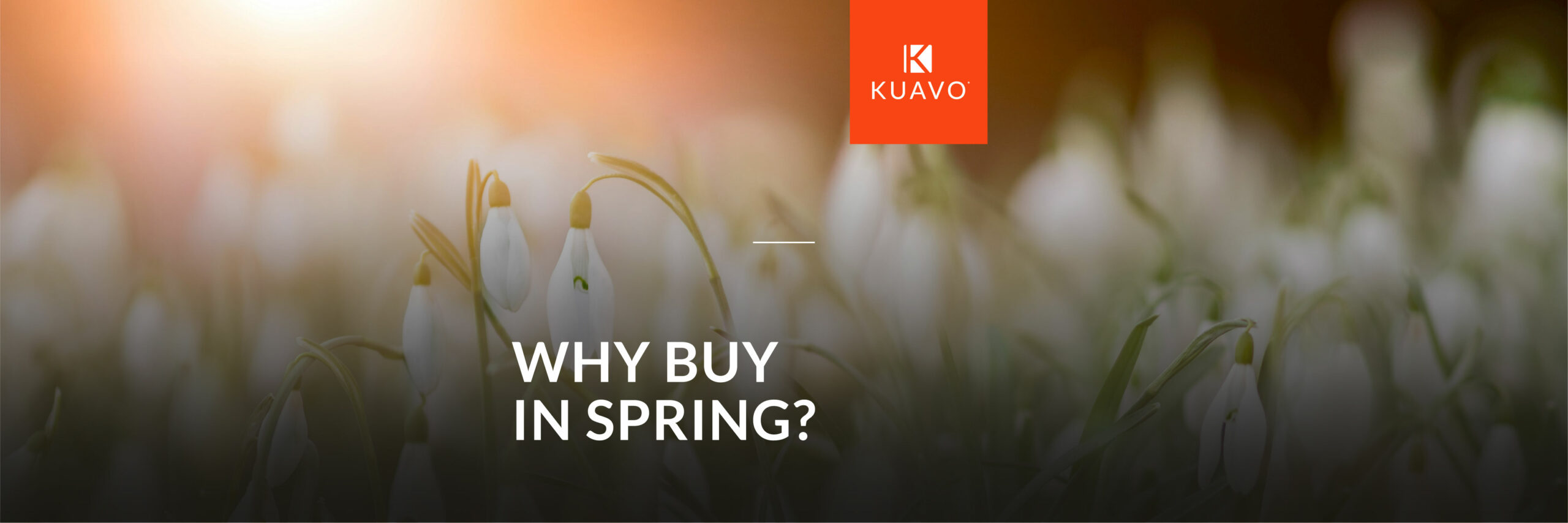 Why Spring is the Best Time to Buy a Property