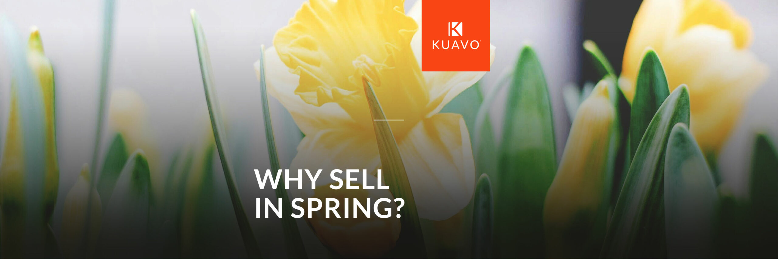 Why Spring is the Best Time to Sell Your Property
